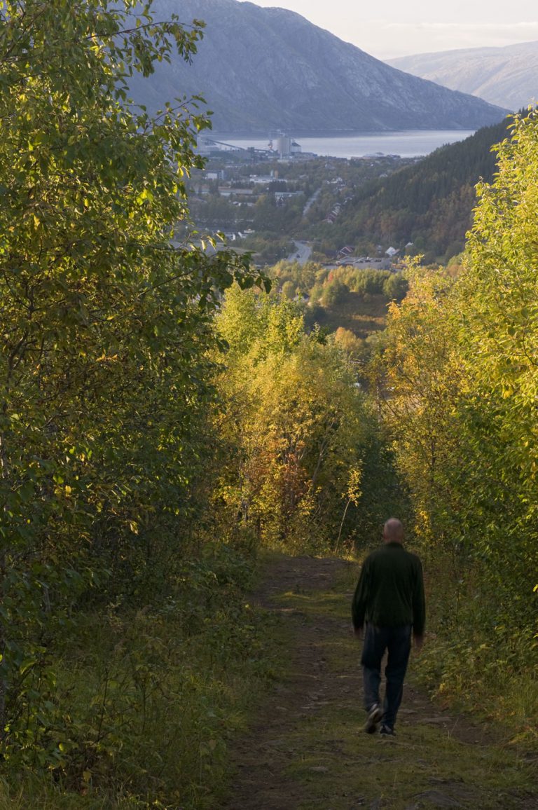 Orsoyla-Haarberg - nordnorge.com