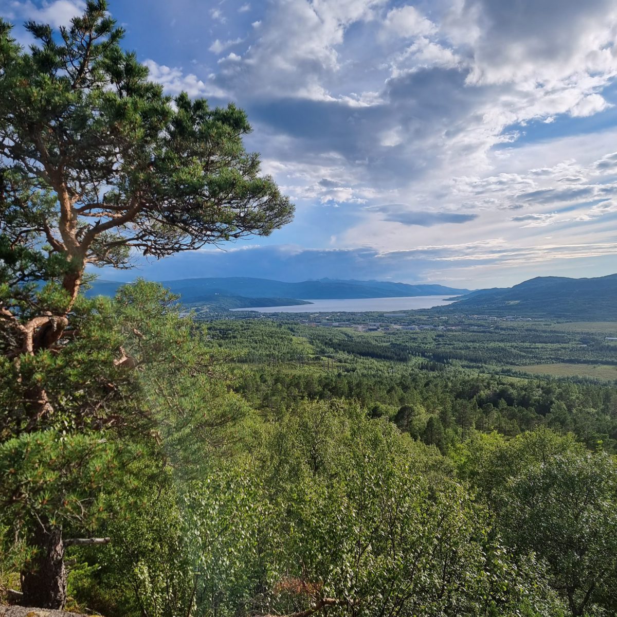 Bilde Fauske sett fra stien til Brekkehytta