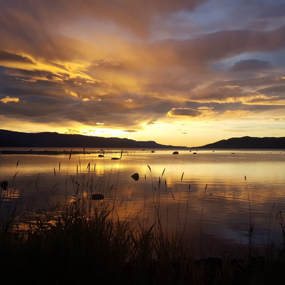 Bilde fra Stranda okt -17